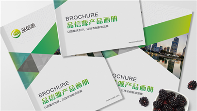 全套VI設(shè)計對企業(yè)理念的傳遞